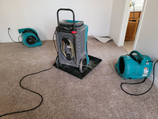 Best 24-hour water damage restoration  in Mill Neck, NY