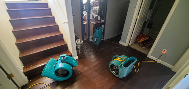 Best 24/7 water damage repair  in Mill Neck, NY