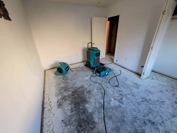Reliable Mill Neck, NY Water damage restoration Solutions