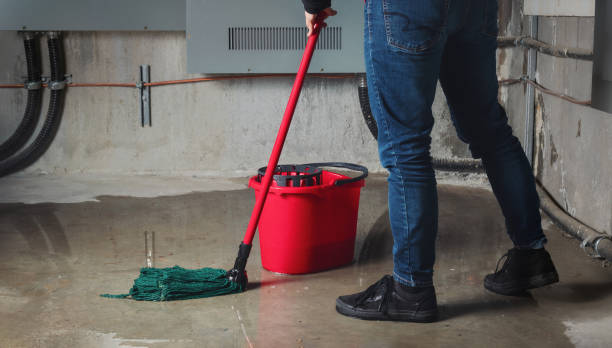 Best Emergency water damage restoration  in Mill Neck, NY