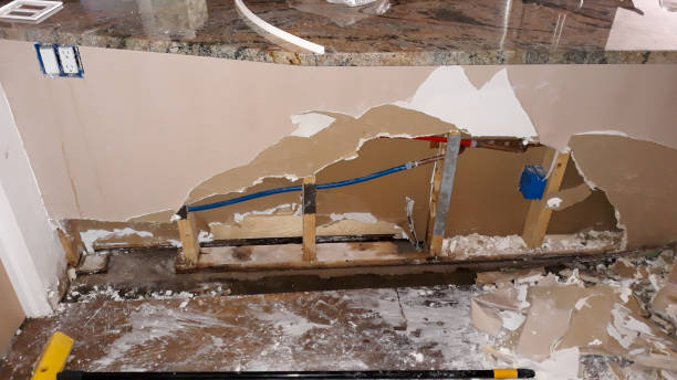Best Flood damage cleanup  in Mill Neck, NY