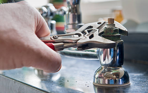 Best Mold removal after water damage  in Mill Neck, NY