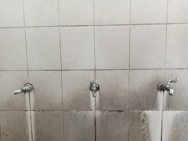Best Carpet water damage restoration  in Mill Neck, NY