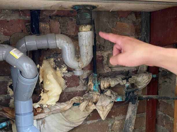 Best Local water damage restoration  in Mill Neck, NY