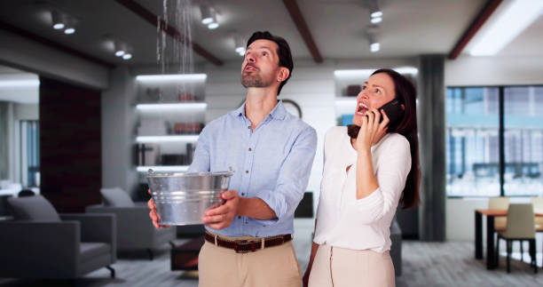 Best Water damage restoration company  in Mill Neck, NY